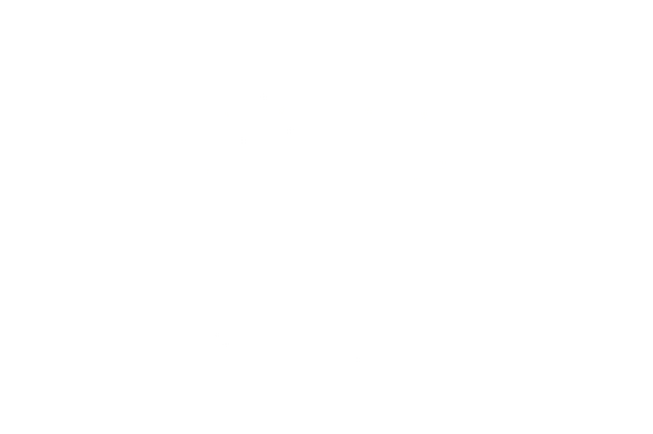 McDonald's Meximieux, partenaire majeur de la Nuit des Amateurs